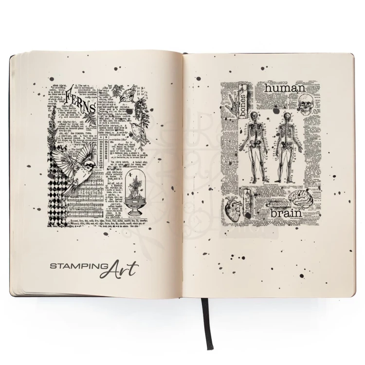 Stempel akrylowy 10x15cm Human &amp; Nature PS6060 - Ciao Bella