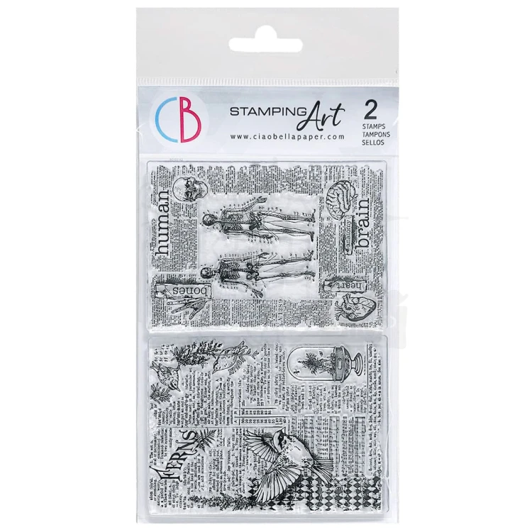 Stempel akrylowy 10x15cm Human &amp; Nature PS6060 - Ciao Bella
