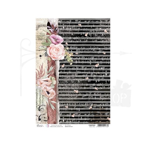 Papier ryżowy A4 Magic Spell CBRP260 - Ciao Bella