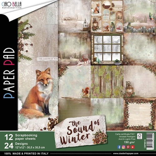 Zestaw papierów 30x30 Sound Of Winter 12 arkuszy CBPM016 - Ciao Bella