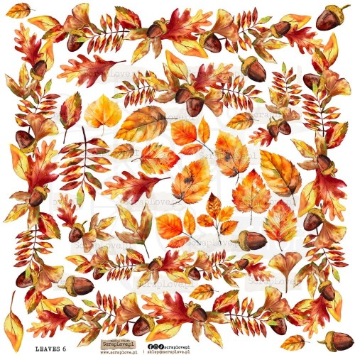 Naklejki do scrapbookingu i art journalingu Liście 6 - Leaves 6 ScrapLove