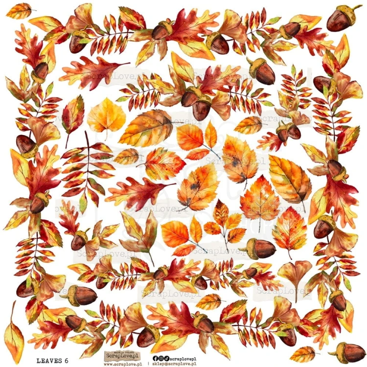 Naklejki do scrapbookingu i art journalingu Liście 6 - Leaves 6 ScrapLove