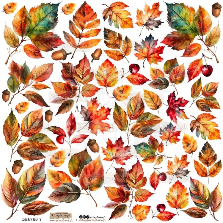 Naklejki do scrapbookingu i art journalingu Liście 7 - Leaves 7 ScrapLove