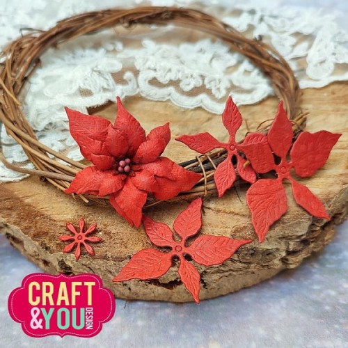 Wykrojnik Poinsettia 3 Poinsencja 3 CW211 Craft&amp;You Design