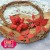 Wykrojnik Poinsettia 3 Poinsencja 3 CW211 Craft&amp;You Design