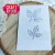 Stemple Leaves set Zestaw liści CS028 Craft&amp;You Design