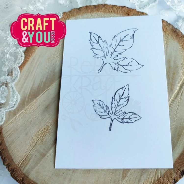 Stemple Leaves set Zestaw liści CS028 Craft&amp;You Design