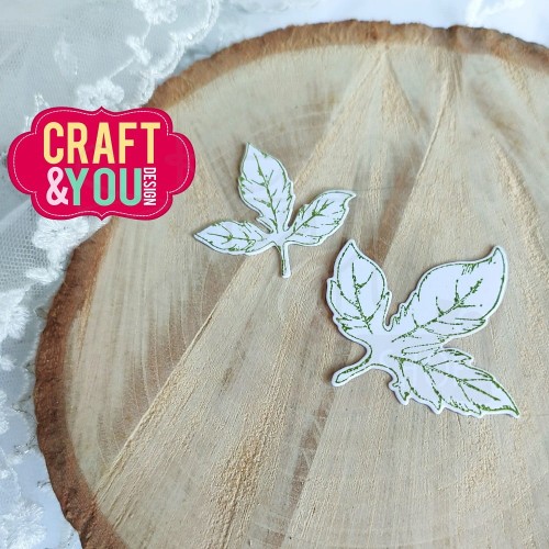 Wykrojnik i stempel Leves set Liście zestaw CSW001 Craft&amp;You Design