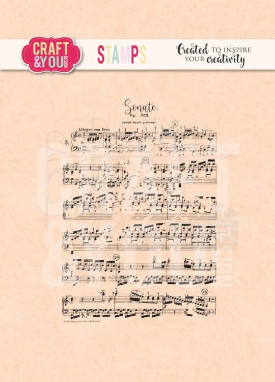 Stempel akrylowy Music Notes Nuty CS032 Craft&amp;You Design