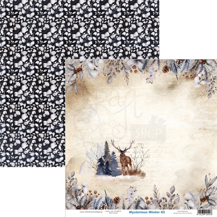 Zestaw papierów do scrapbookingu 30x30 Mysterious Winter CPS-MWI30-6 Craft&amp;You Design