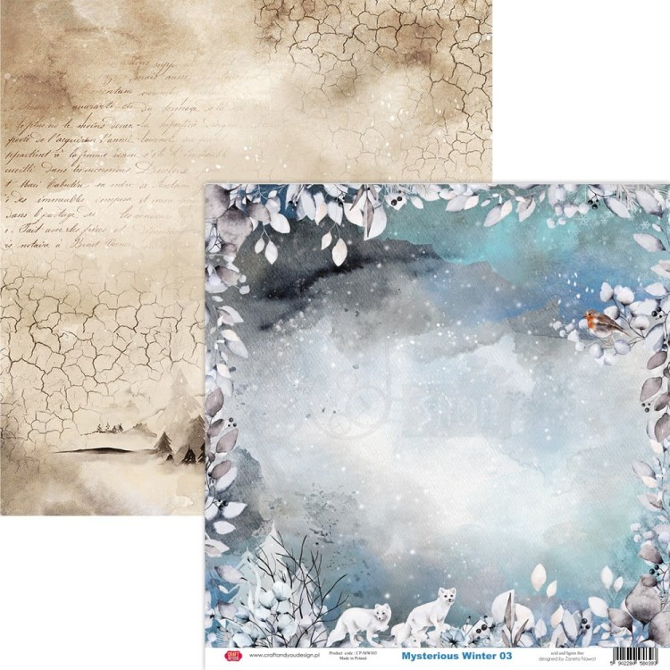 Zestaw papierów do scrapbookingu 30x30 Mysterious Winter CPS-MWI30-6 Craft&amp;You Design