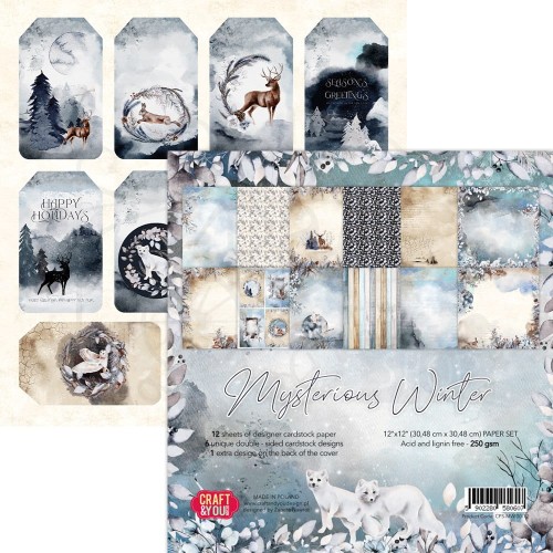Papier do scrapbookingu 30x30 Mysterious Winter okładka OK-MWI30 Craft&amp;You Design