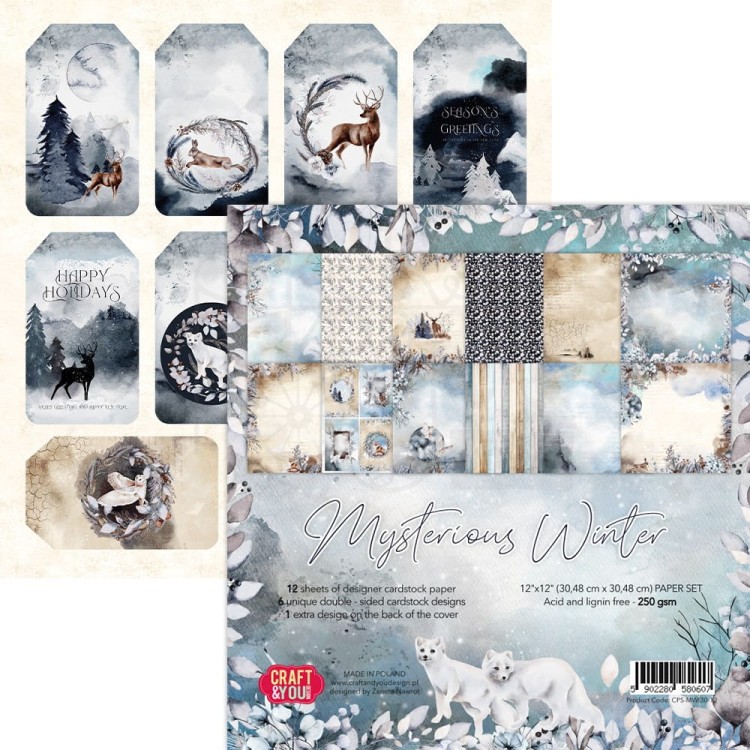 Papier do scrapbookingu 30x30 Mysterious Winter okładka OK-MWI30 Craft&amp;You Design