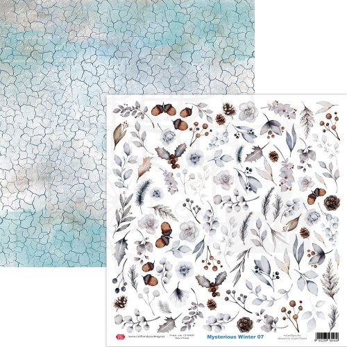 Papier do scrapbookingu 30x30 Mysterious Winter 07 elementy do wycięcia CP-MWI07 Craft&amp;You Design