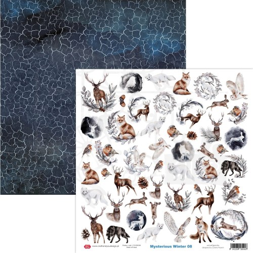 Papier do scrapbookingu 30x30 Mysterious Winter 08 elementy do wycięcia CP-MWI08 Craft&amp;You Design