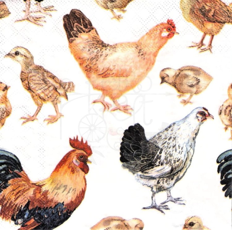 Serwetka 33x33 - Kogut kury i kurczaki