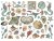 Ozdoby kształty tekturowe Die Cuts Songs of the Sea Stworzenia morskie DFLDC84 Stamperia