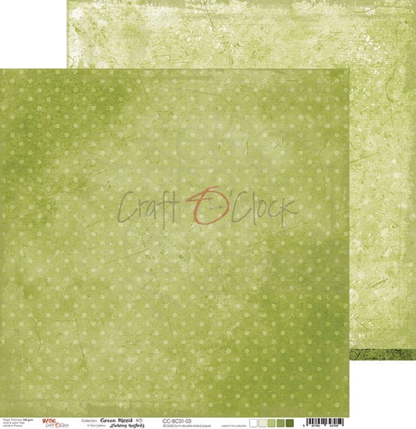 Papier do scrapbookingu 30x30 Basic 01 - Green Mood 03 CC-BC01-03 Craft O'Clock