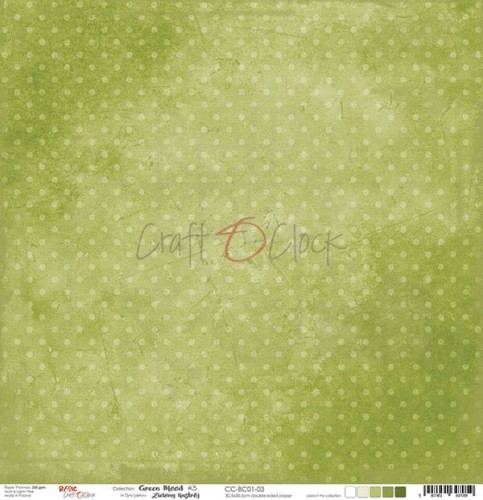 Papier do scrapbookingu 30x30 Basic 01 - Green Mood 03 CC-BC01-03 Craft O'Clock