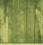 Papier do scrapbookingu 30x30 Basic 01 - Green Mood 04 CC-BC01-04 Craft O'Clock