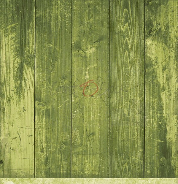 Papier do scrapbookingu 30x30 Basic 01 - Green Mood 04 CC-BC01-04 Craft O'Clock