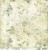 Papier do scrapbookingu 30x30 Basic 01 - Green Mood 05 CC-BC01-05 Craft O'Clock