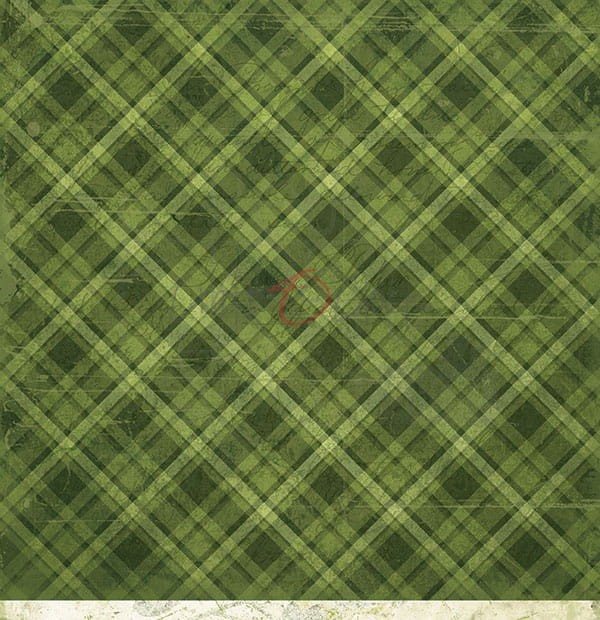 Papier do scrapbookingu 30x30 Basic 01 - Green Mood 05 CC-BC01-05 Craft O'Clock