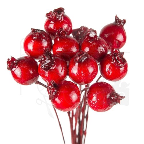 Jarzębina czerwone kulki pęczek 12 kuleczek
