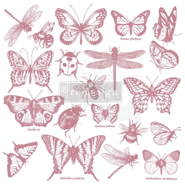 Stempel akrylowy 31x31cm Monarch Collection 650087 Prima