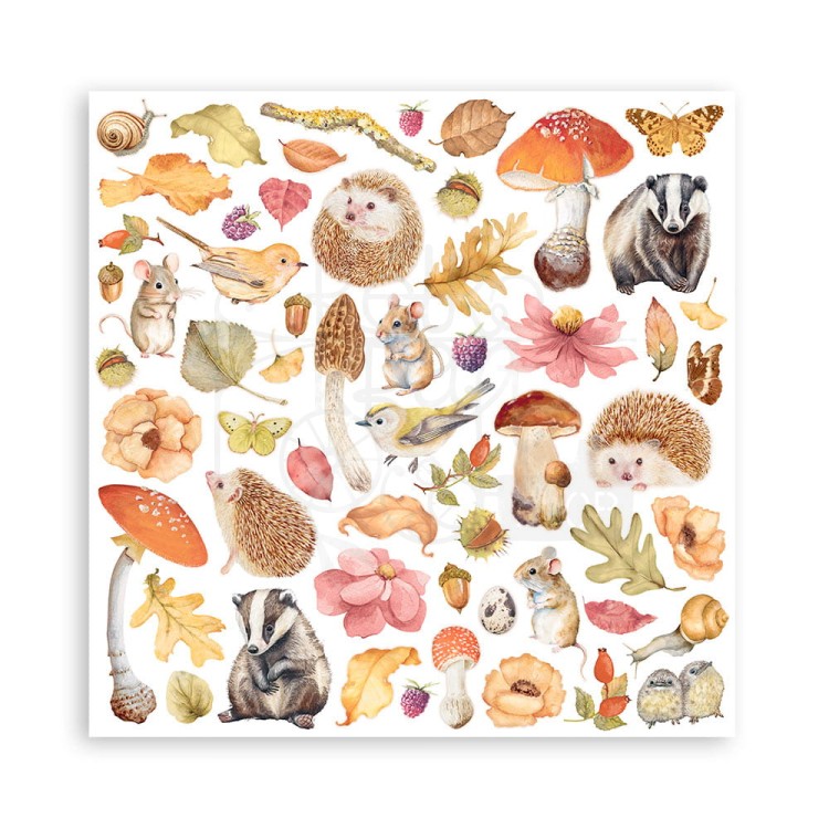 Zestaw papierów do scrapbookingu 20x20 Woodland SBBS92 Stamperia