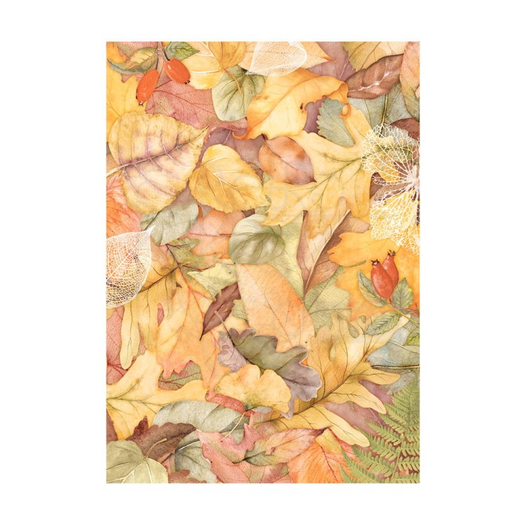 Papier ryżowy A6 Woodland Background - zestaw 8szt DFSAK6011 Stamperia