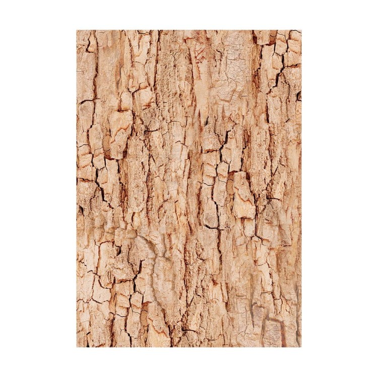 Papier ryżowy A6 Woodland Background - zestaw 8szt DFSAK6011 Stamperia