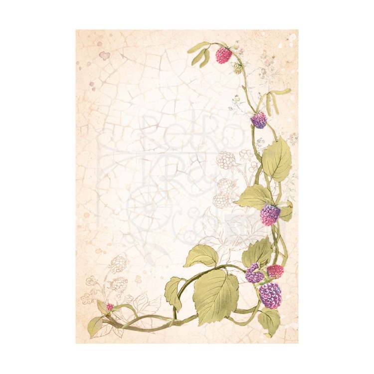 Papier ryżowy A6 Woodland Background - zestaw 8szt DFSAK6011 Stamperia