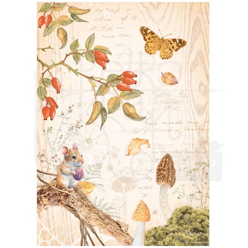 Papier ryżowy A4 Woodland Motylek i wiewiórka DFSA4817 Stamperia