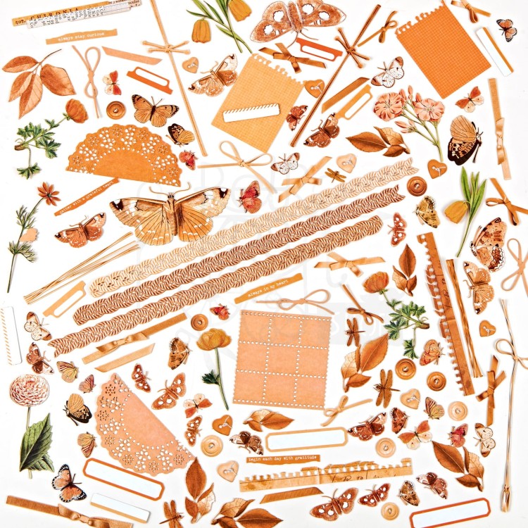 Ozdoby papierowe die-cuts Color Swatch Peach Elements 134szt CSP24951 49 and Market