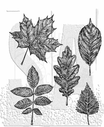 Stempel gumowy kauczukowy Sketchy Leaves liście CMS467 Tim Holtz Stampers Anonymous