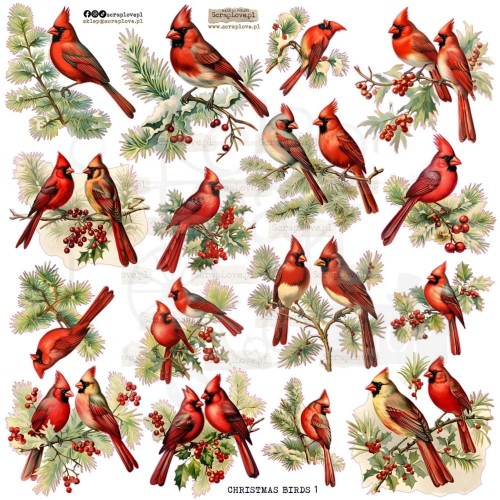 Naklejki do scrapbookingu i art journalingu Christmas Birds ScrapLove