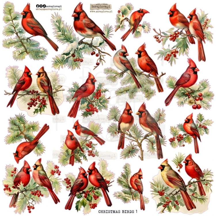 Naklejki do scrapbookingu i art journalingu Christmas Birds ScrapLove