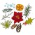 Wykrojnik Thinlits Dies Modern Festive 666069 Sizzix