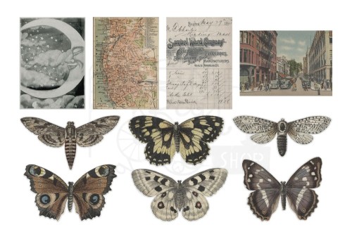 Ozdoby foliowe Idea-Ology Transparent Acetate Things 10szt TH94241 Tim Holtz