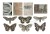 Ozdoby foliowe Idea-Ology Transparent Acetate Things 10szt TH94241 Tim Holtz