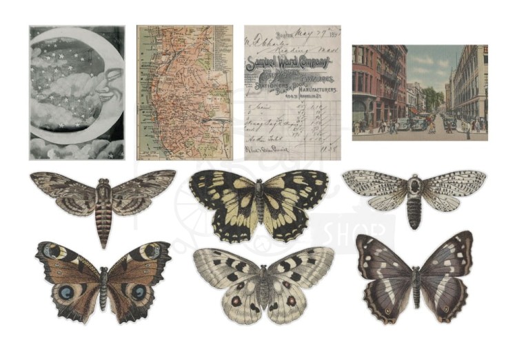 Ozdoby foliowe Idea-Ology Transparent Acetate Things 10szt TH94241 Tim Holtz