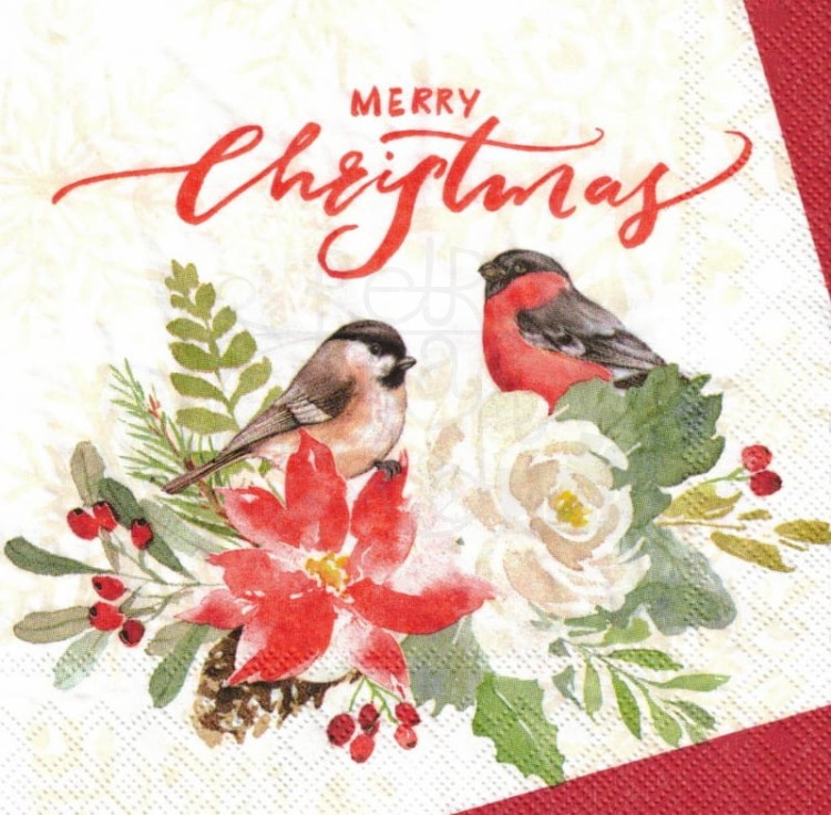 Serwetka 25x25 - Ptaki w kwiatach Merry Christmas