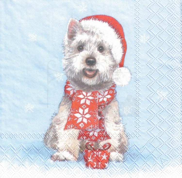 Serwetka 33x33 - Pies White terrier w czapce i szaliku