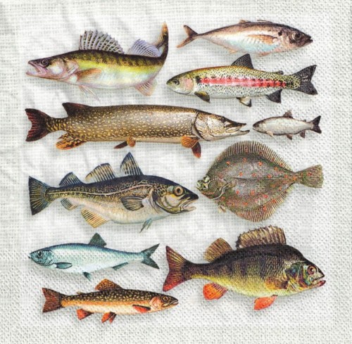 Serwetka 33x33 - Ryby