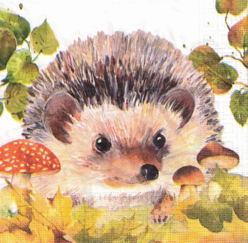 Serwetka 33x33 - Jeż i grzyby