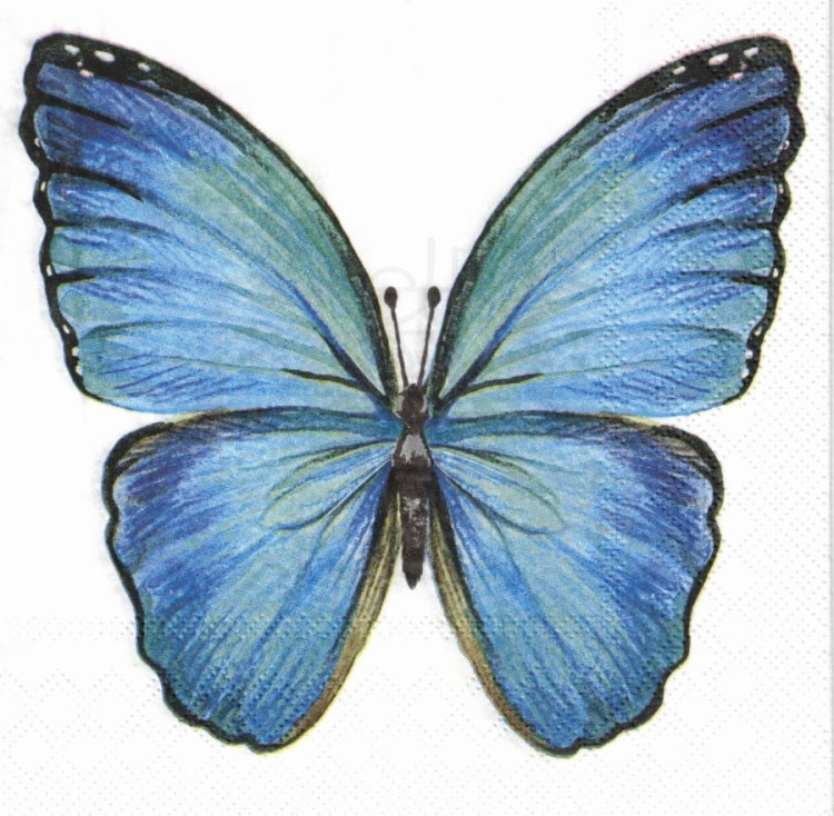 Serwetka 33x33 - Niebieski duży motyl