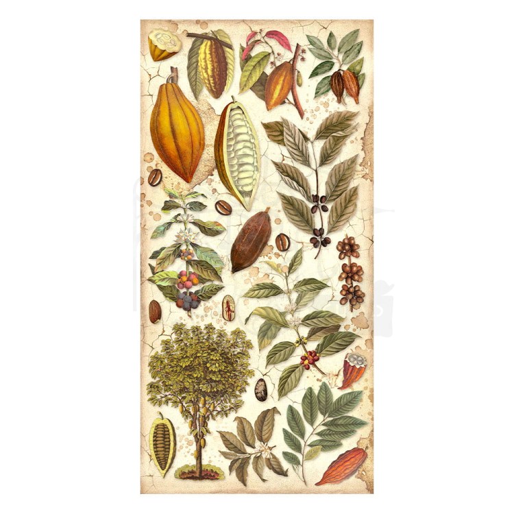 Zestaw papierów 15x30 elementy do wycięcia Coffe &amp; Chocolate SBBV26 Stamperia