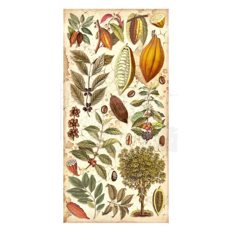 Zestaw papierów 15x30 elementy do wycięcia Coffe &amp; Chocolate SBBV26 Stamperia