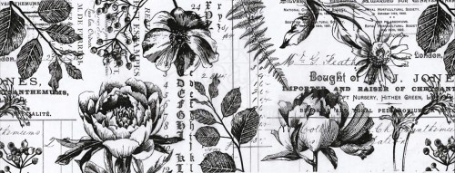 Idea-Ology Collage Paper Botanical 15cmx5.5m TH93705 Tim Holtz